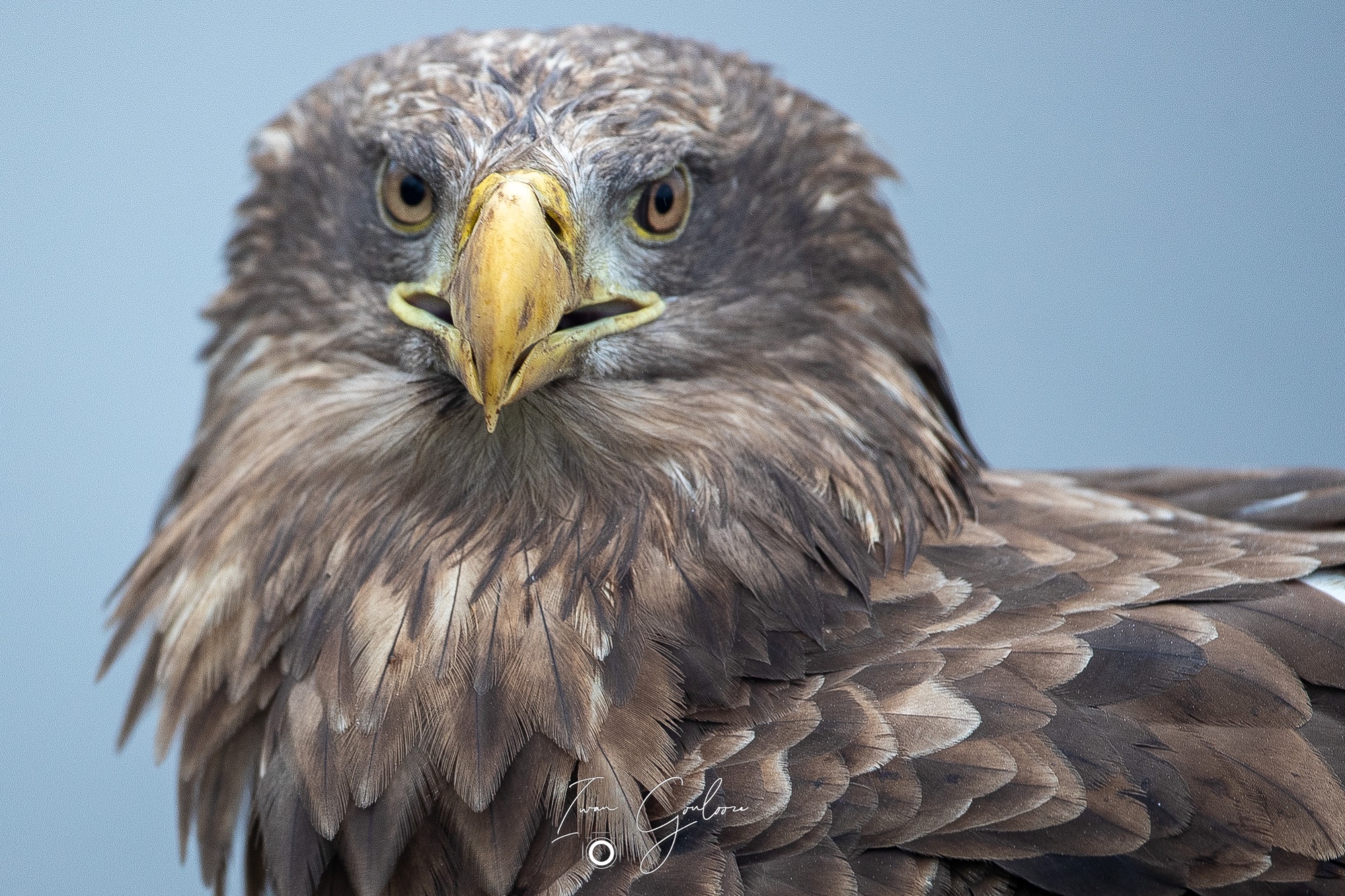 1DX46847 12 december 2021 1443 59